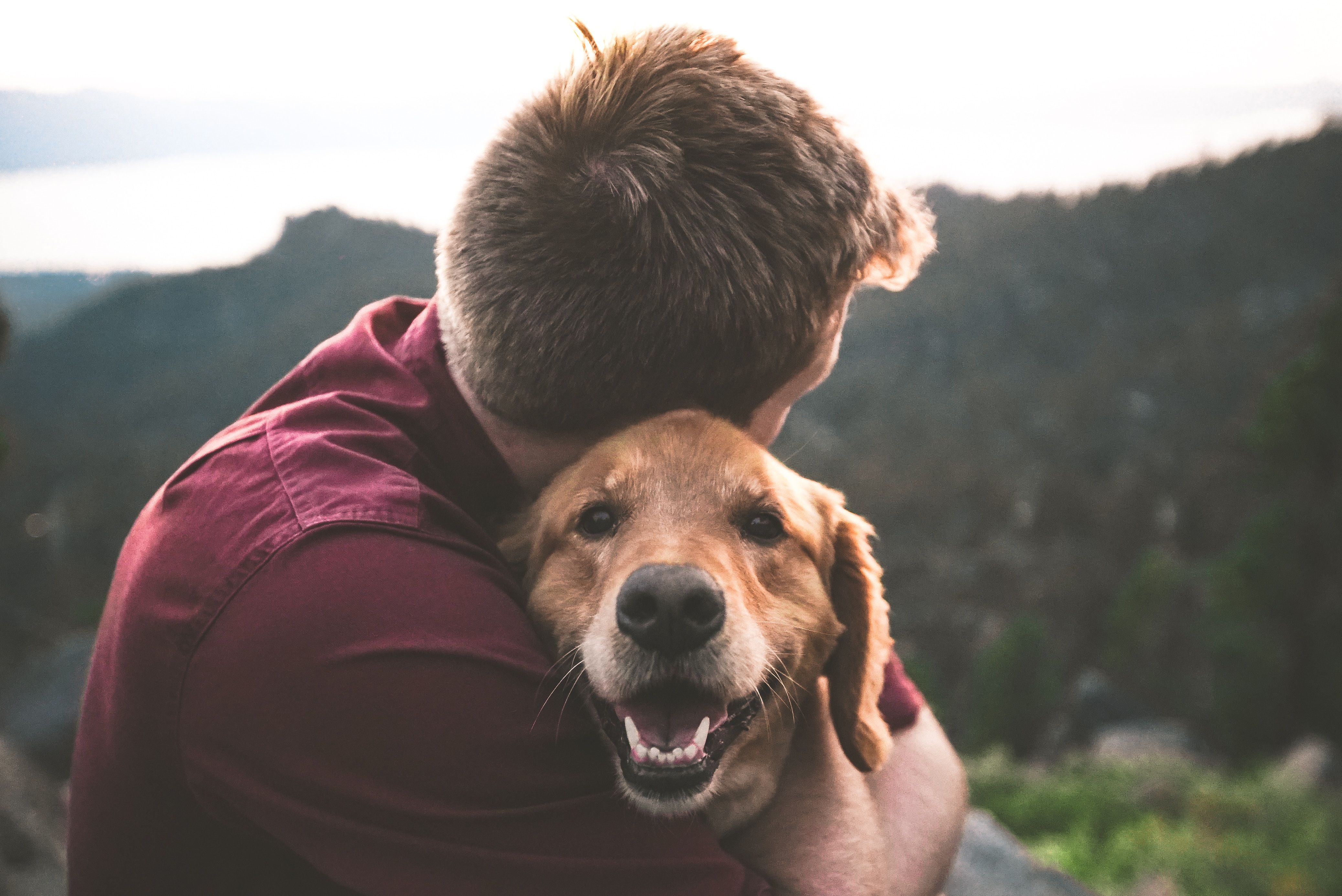 Man in red shirt cuddling dog