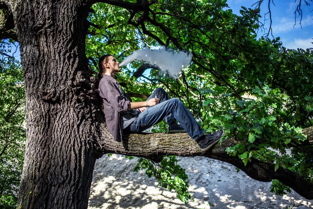 Young man vaping electronic cigarette and sitting on the tree. Daylight summer shot.