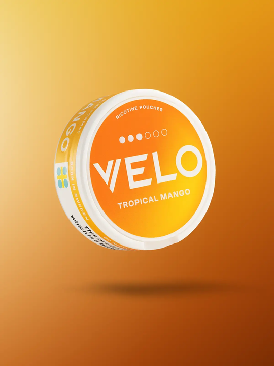 A can of Tropical Mango Velo nicotine pouches floating on an orange background.